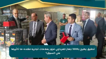 تحقيق يطيح بـ5000 جهاز كهربائي مزور بعلامات تجارية مقلدة—ما تأثيرها على السوق؟